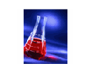 Math, Science and Technology