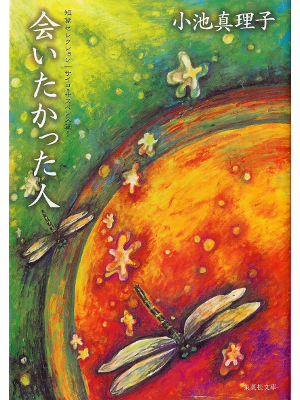 Mariko Koike [ Aitakatta Hito ] Fiction JPN