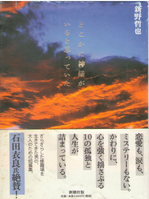 新野哲也 [ どこかに神様がいると思っていた ] 小説 単行本