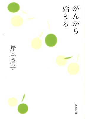 Yoko Kishimoto [ Gan kara Hajimaru ] Non Fiction JPN