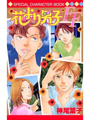 Yoko Kamio [ Hanayori Dango FF Flower boys×Fighting girls ] JPN