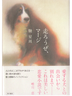 Seisyu Hase [ Hashirou ze marge ] Non fiction JPN