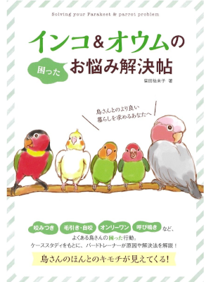 Yumiko Shibata [ Inco & Oumu no Onayami Kaiketsucho ] JPN