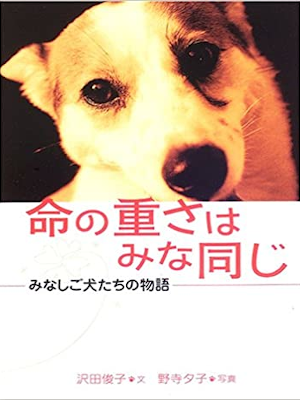 沢田俊子 [ 命の重さはみな同じ―みなしご犬たちの物語 ] 動物感動ノンフィクション 単行本 児童読み物