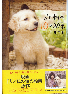 Hare Kawaguchi [ Inu to Watashi no 10 no Yakusoku ] Fiction JPN