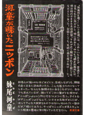 Kappa Senoh [ Kappa ga Nozoita Nippon ] Nin-Fiction / JPN