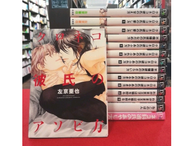 Aya Sakyo [ KURONEKO KARESHI Series Bulk Of 15 ] MANGA BL JPN