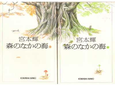Teru Miyamoto [ Mori no Naka no Umi ] Fiction JPN