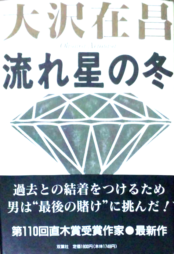 Arimasa Osawa [ Nagareboshi no Fuyu ] Fiction JPN 1994 HB