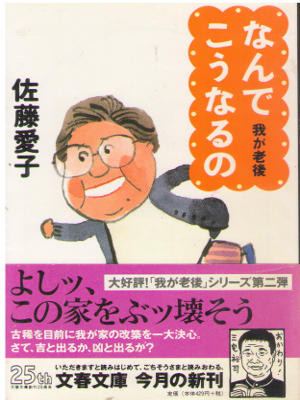 Aiko Sato [ Nande Kounaruno - Waga Rougo 2 ] Essay JPN