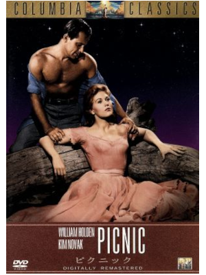 [ PICNIC ] DVD Movie Japan Edition NTSC R2