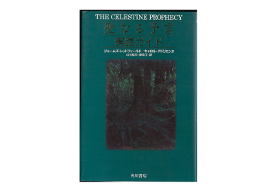 James Redfield [ The Celestine Prophecy: An Experiential Guide ]