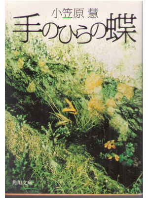 小笠原慧 [ 手のひらの蝶 ] 小説 角川文庫