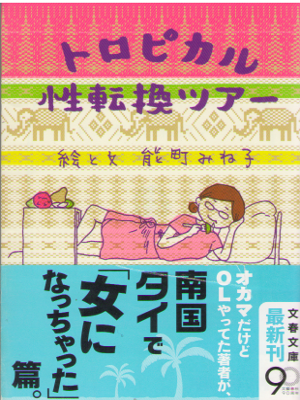 Mineko Noumachi [ Tropical Seitenkan Tour ] Essay / JPN