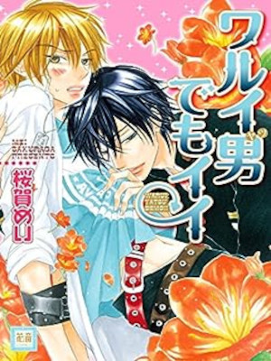 Mei Sakuraga [ Warui Yatsu demo Ii? ] Comics Boys Love BL JPN
