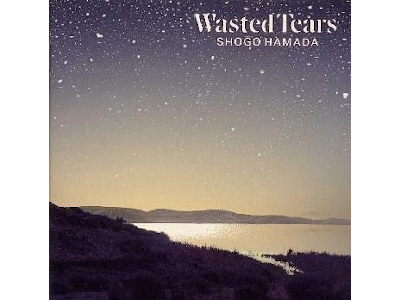Shogo Hamada [ WASTED TEARS ] CD J-POP 1989