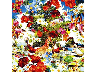 Orange Pekoe [ Wild Flowers ] CD+DVD J-POP 2007